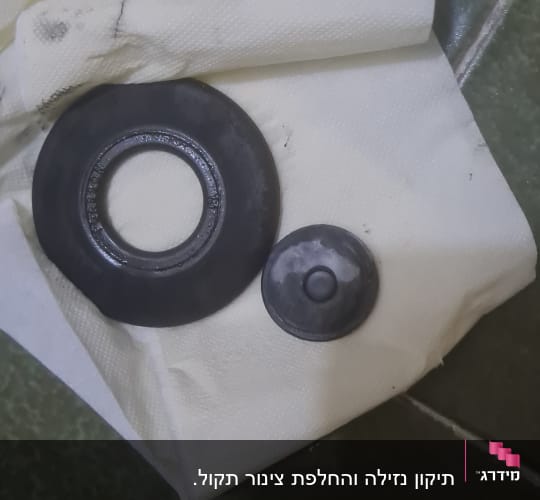 שני אטמים שחורים על מגבת לבנה